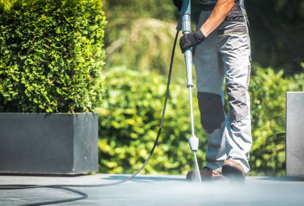 Best Roof Washing  in West Bountiful, UT
